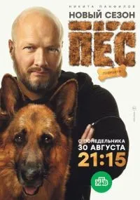 Пёс смотреть