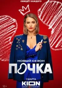 Почка смотреть