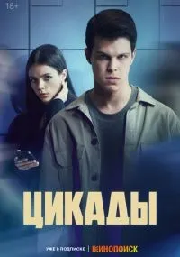 Цикады смотреть